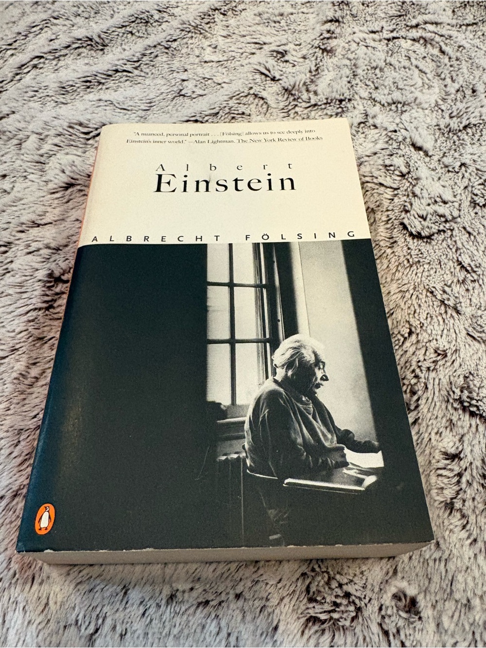 Albert Einstein Paperback Biography
